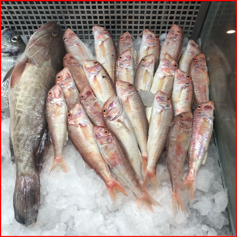 Logos 1kg pişmiş