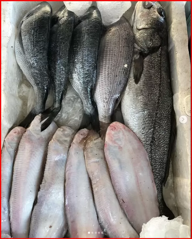 Dil Balığı (1 KG)